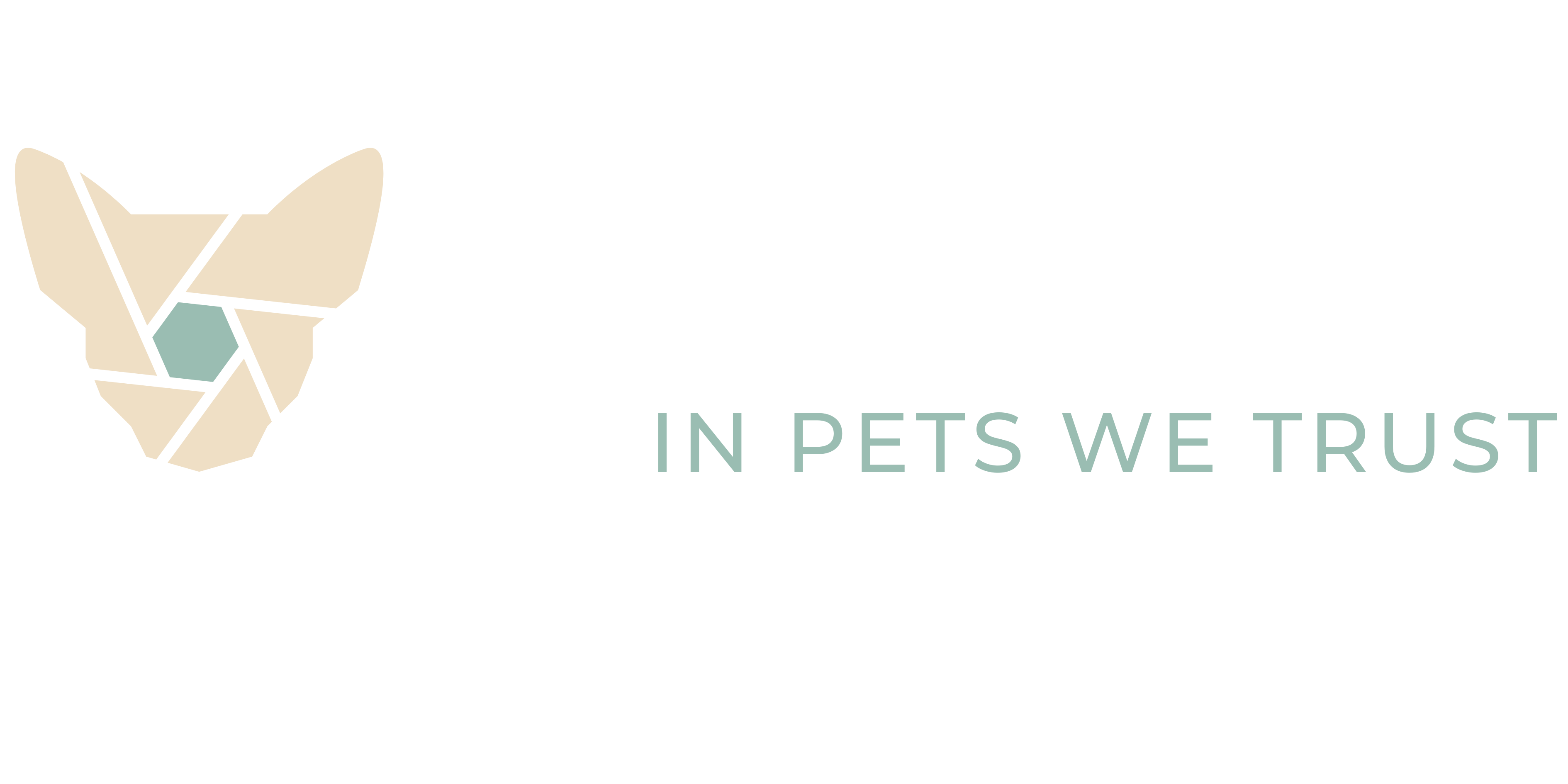 Fotografia psów i kotów - Piesografia by Angela Wolińska